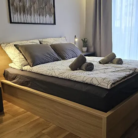 Mala Poleska - Przytulny Z Ogrodkiem * ブィドゴシュチュ